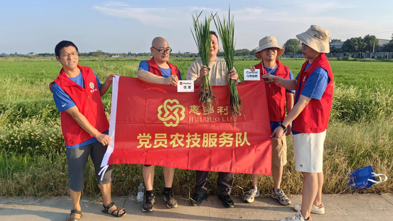 惠多利黨員農技服務隊在嘉興開展水稻試驗回訪 以科技服務助力糧食豐收